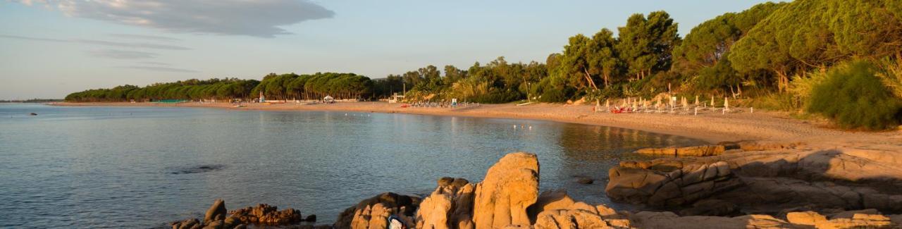 Hotel Mediterraneo ซานตามาเรีย นาวาร์เรเซ ภายนอก รูปภาพ